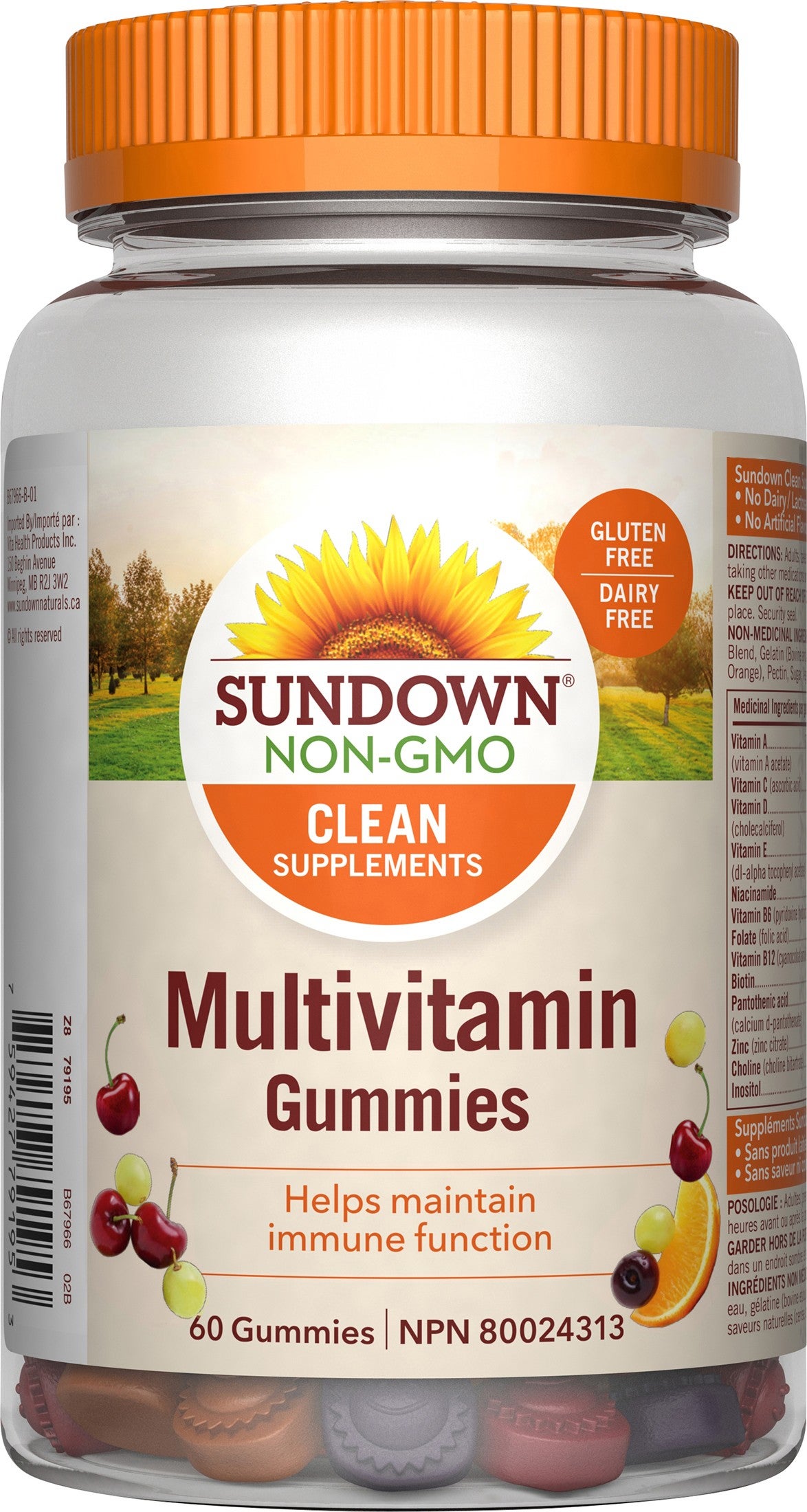 Adult Multivitamin Gummies