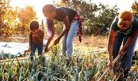 Healthy Lives_Healthy Planet