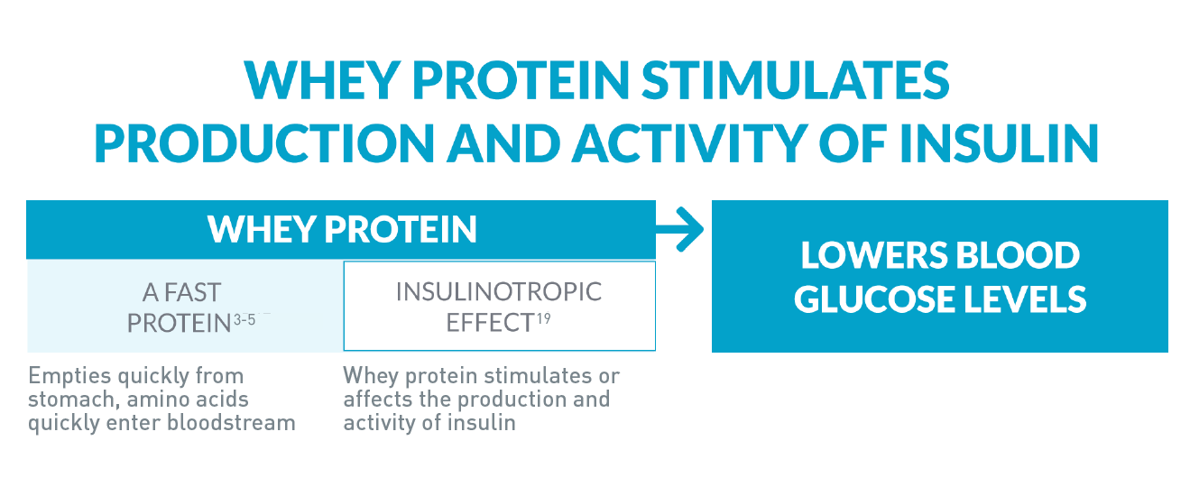 protein icon