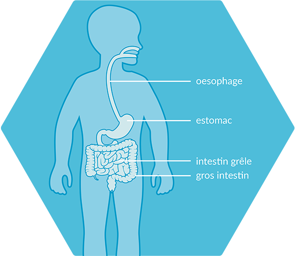 tube feeding diagram