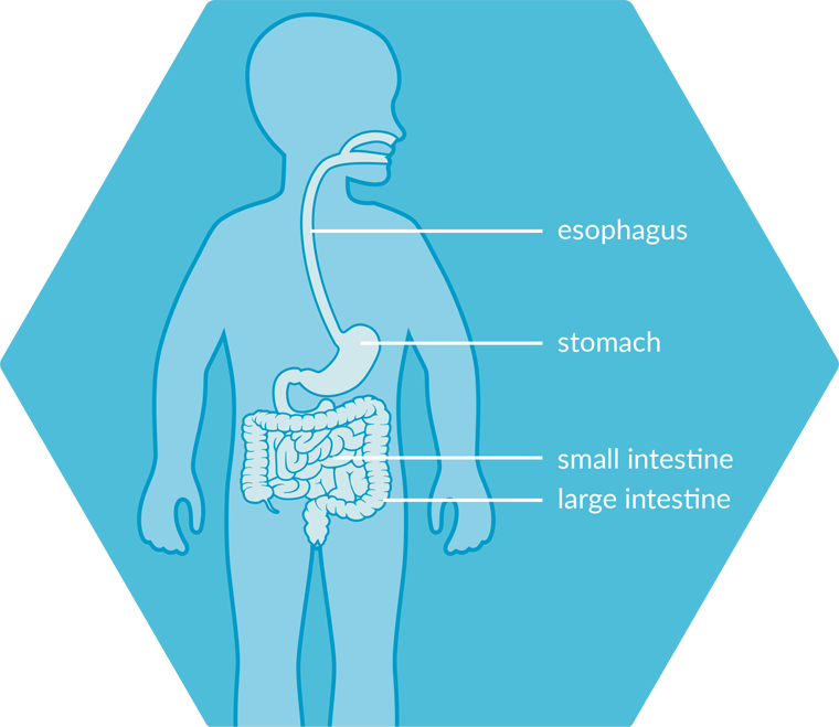 childdigestive