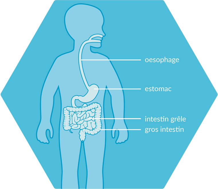 Nestlé Health Science logo