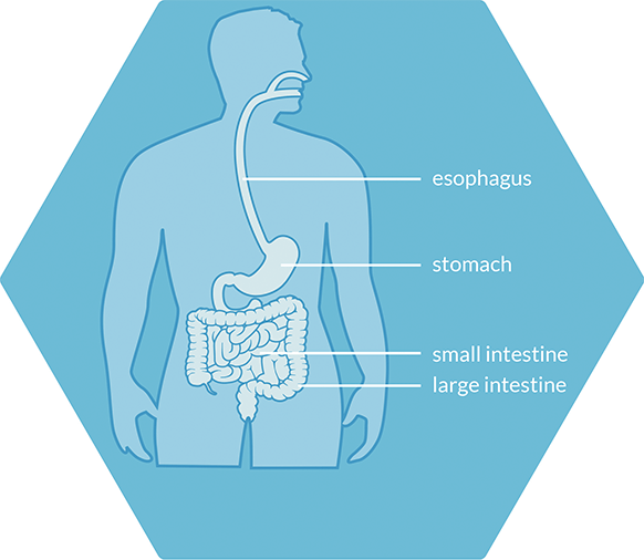 tube feeding