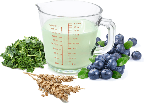 blueberry-kale-salad